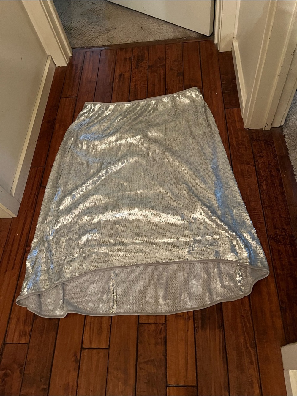 C. Wonder Silver Matte Sequin Midi Skirt